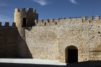 /album/castle-of-lopera-jaen/desarrollo-tenflowers-lopera-img-3207-copia-jpg/
