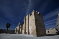 /album/castle-of-lopera-jaen/desarrollo-tenflowers-lopera-img-3364-copia-jpg/